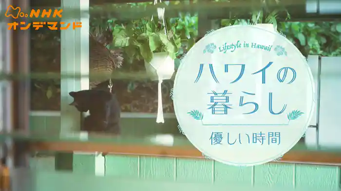 ハワイの暮らし 優しい時間