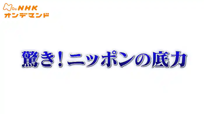 驚き！ニッポンの底力