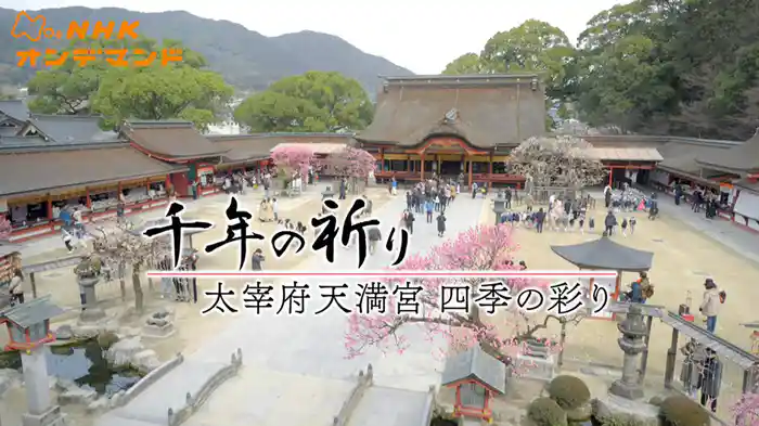 千年の祈り　太宰府天満宮　四季の彩り