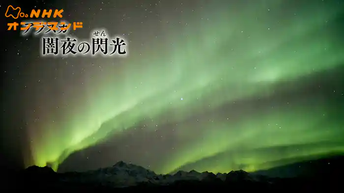 アラスカ　闇夜の閃（せん）光