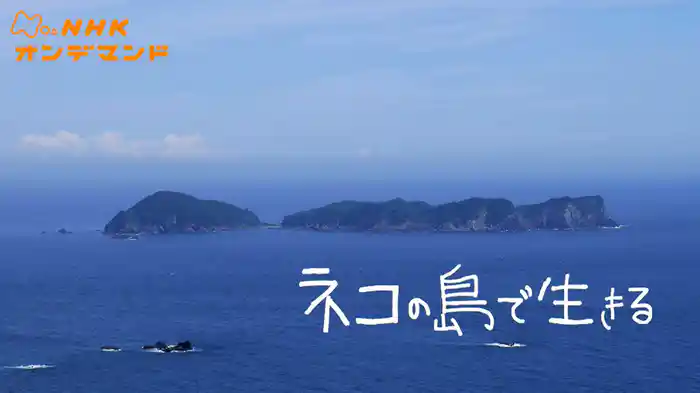 ネコの島で生きる