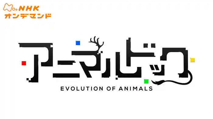 アニマルドック