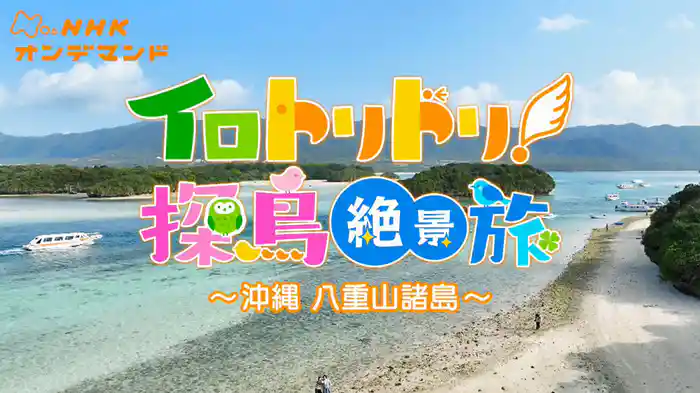 イロトリドリ！探鳥絶景旅