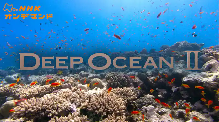 ＮＨＫスペシャル　ディープオーシャンＩＩ