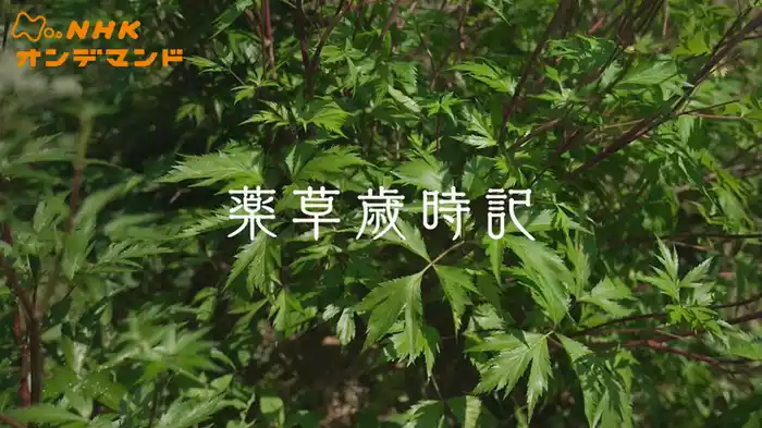 薬草歳時記