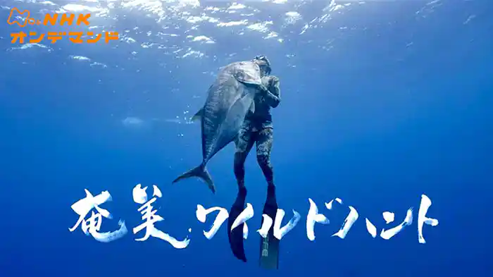 奄美ワイルドハント