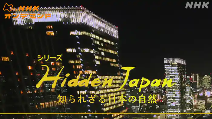 国際共同制作　シリーズＨｉｄｄｅｎ　Ｊａｐａｎ　知られざる日本の自然