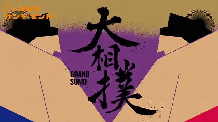 大相撲（２０２５年）　幕内の全取組