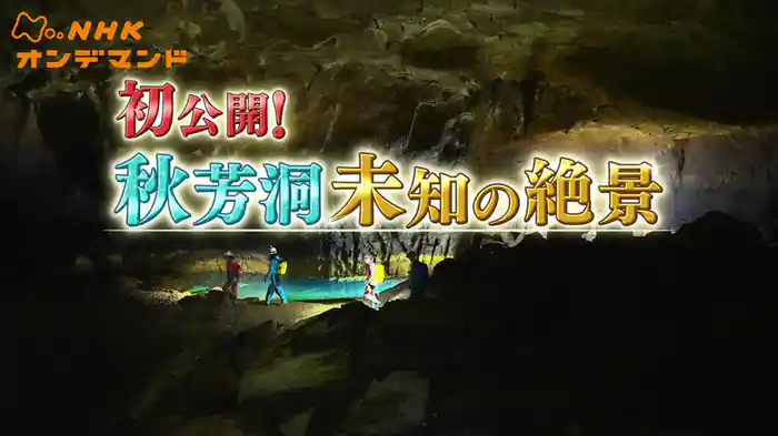 初公開！秋芳洞　未知の絶景