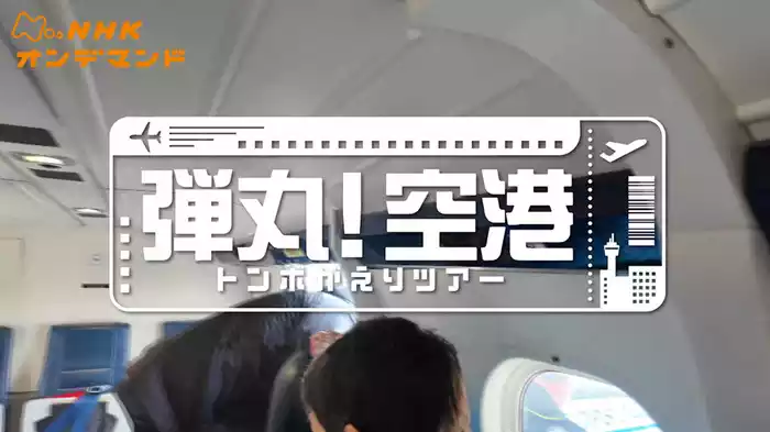 弾丸！空港トンボがえりツアー