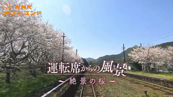 運転席からの風景