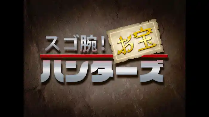 スゴ腕!お宝ハンターズ