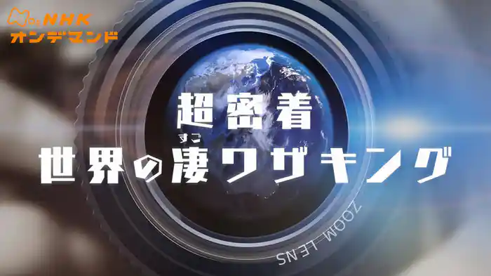 超密着！世界の凄（すご）ワザキング