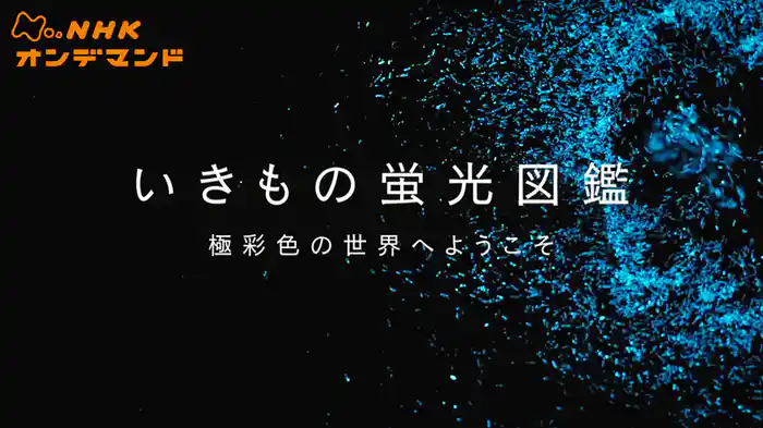 いきもの蛍光図鑑　極彩色の世界へようこそ