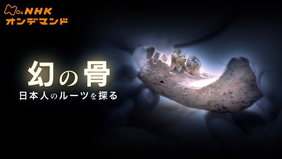 幻の骨 ~日本人のルーツを探る~