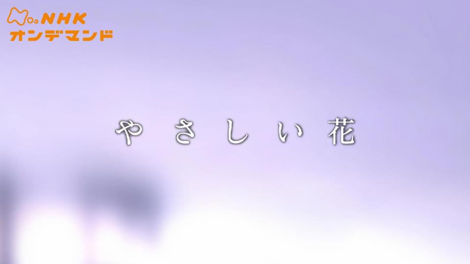 やさしい花 - サムネイル