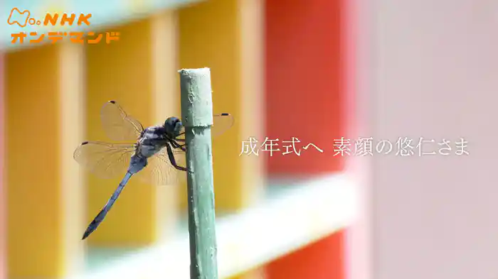 成年式へ　素顔の悠仁さま