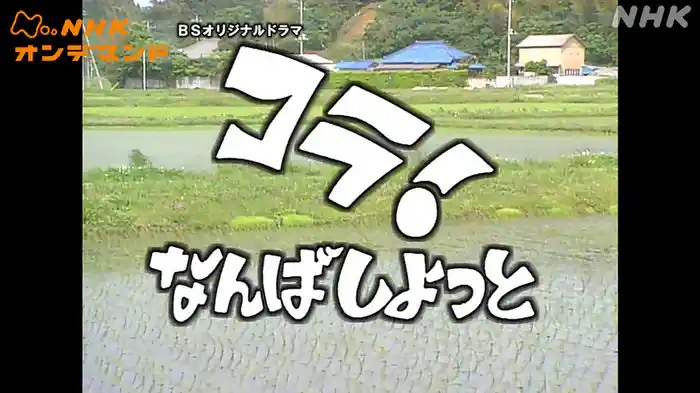 コラ！なんばしよっと