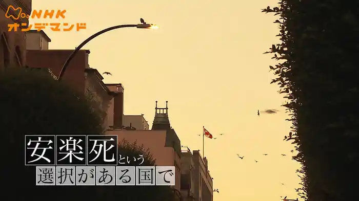 安楽死という選択がある国で