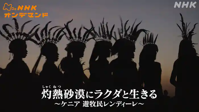 灼熱（しゃくねつ）砂漠にラクダと生きる