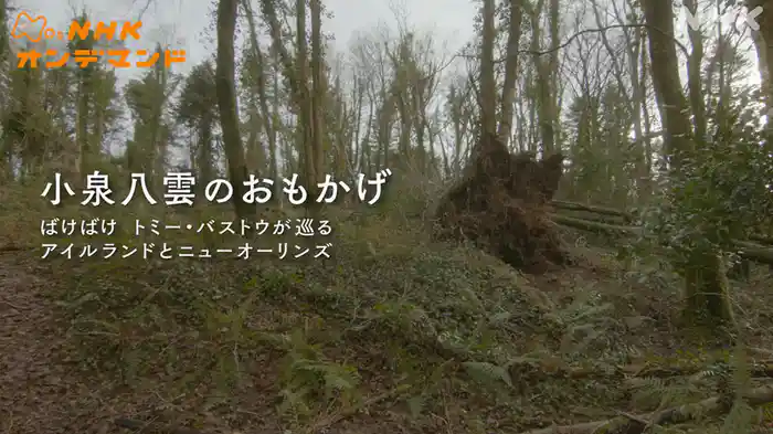 小泉八雲のおもかげ