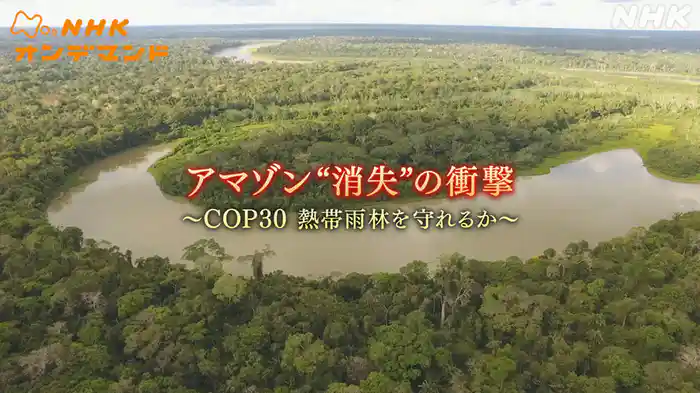 アマゾン“消失”の衝撃　～ＣＯＰ３０　熱帯雨林を守れるか～