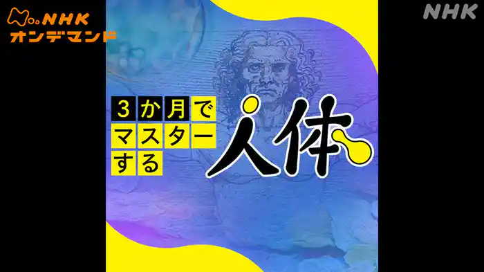 ３か月でマスターする人体