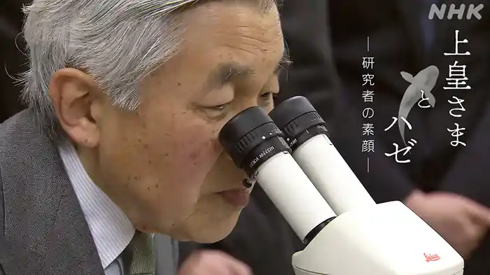 上皇さまとハゼ　～研究者の素顔～
