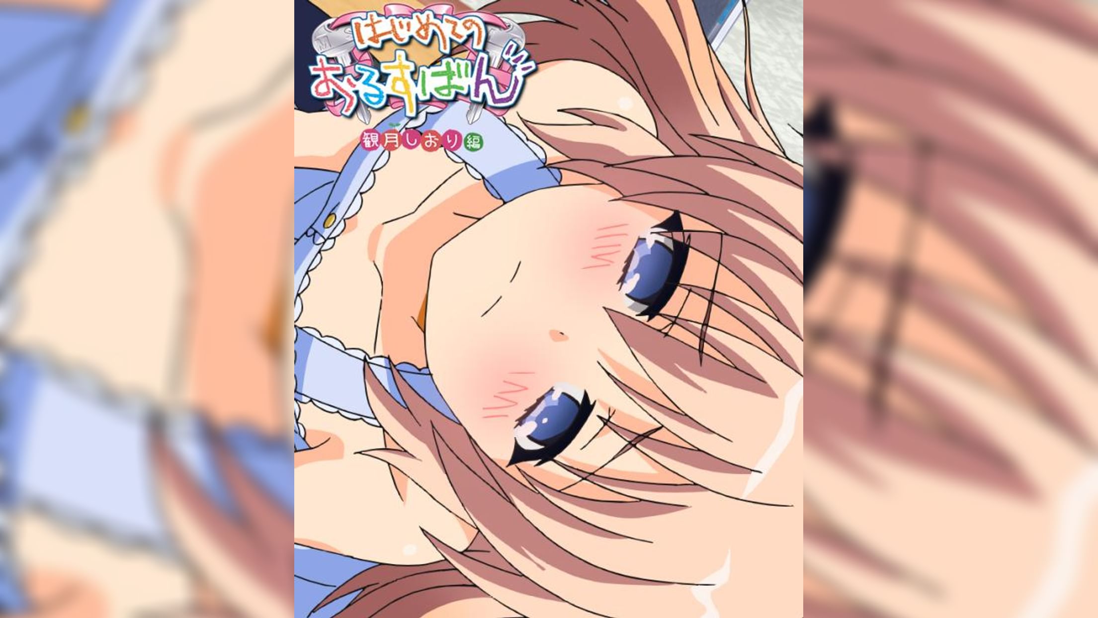 はじめてのおるすばん 観月しおり編