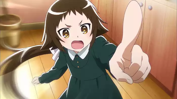 ロリ小姑ってのも悪くないわ