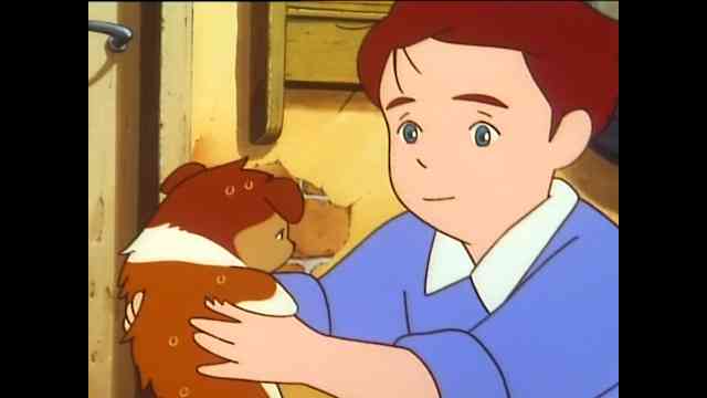 名犬ラッシー アニメ の動画を配信しているサービスはある 視聴したい人におすすめの動画配信サービス 動画作品を探すならaukana 名犬ラッシー アニメ の動画を配信しているサービスはある 視聴したい人におすすめの動画配信サービス 動画作品を探すならaukana