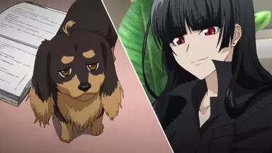 犬とハサミは使いよう 第五話 虎穴に入らずんば犬を得ず アニメ 13年 の動画視聴 あらすじ U Next 犬とハサミは使いよう 第五話 虎穴に入らずんば犬を得ず アニメ 13年 の動画視聴 あらすじ U Next