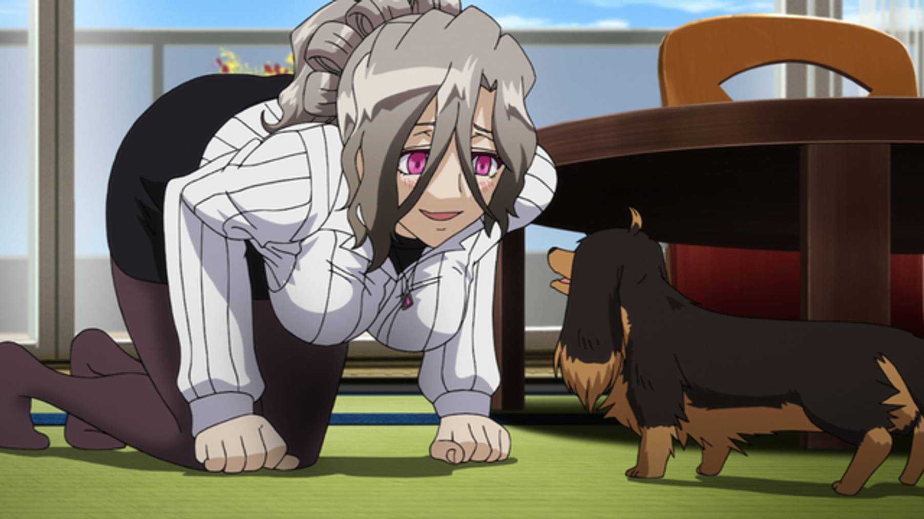 犬とハサミは使いよう 第参話 飛んで火に入る冬の犬 アニメ 13 の動画視聴 U Next 31日間無料トライアル