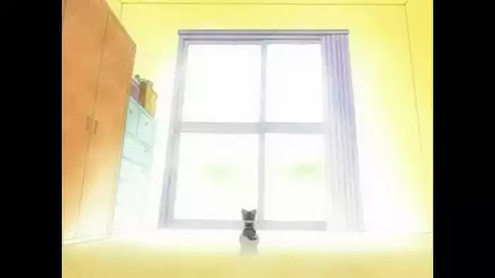 チー、思い出す。／チー、夢を見る。／チー、引きとられる。／チー、決まる。