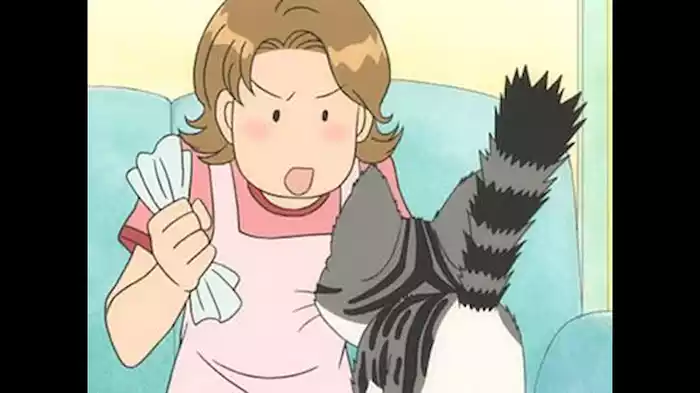 チー、逃げ出す。／チー、散歩する。／チー、探索する。／チー、ひとりぼっちになる。
