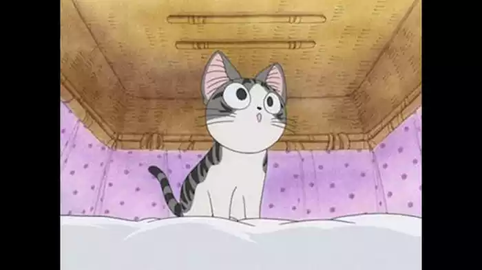 チー、病院に行く。（前編）／チー、病院に行く。（中編）／チー、病院に行く。（後編）／チー、嫌がる。