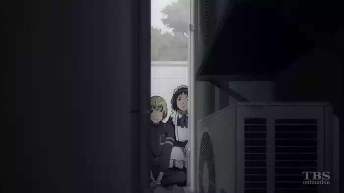猫省年