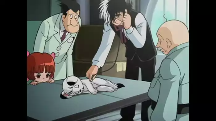 白いライオン