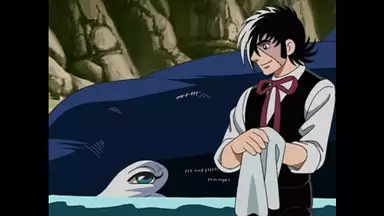 ブラック ジャック Karte 11 シャチの贈りもの アニメ 04年 の動画視聴 あらすじ U Next ブラック ジャック Karte 11 シャチの贈りもの アニメ 04年 の動画視聴 あらすじ U Next