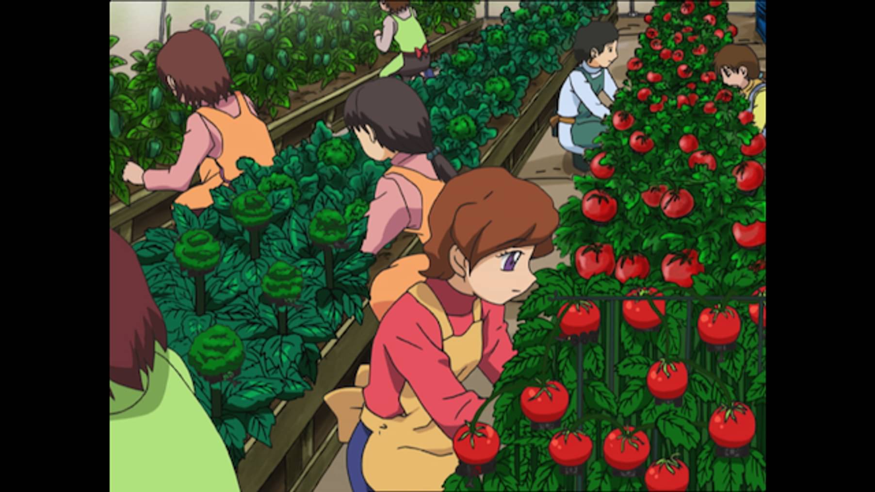 人造昆虫カブトボーグ Vxv 第22話 健康第一 ベジタブル ジャーマン スープレックス アニメ 06 の動画視聴 U Next 31日間無料トライアル