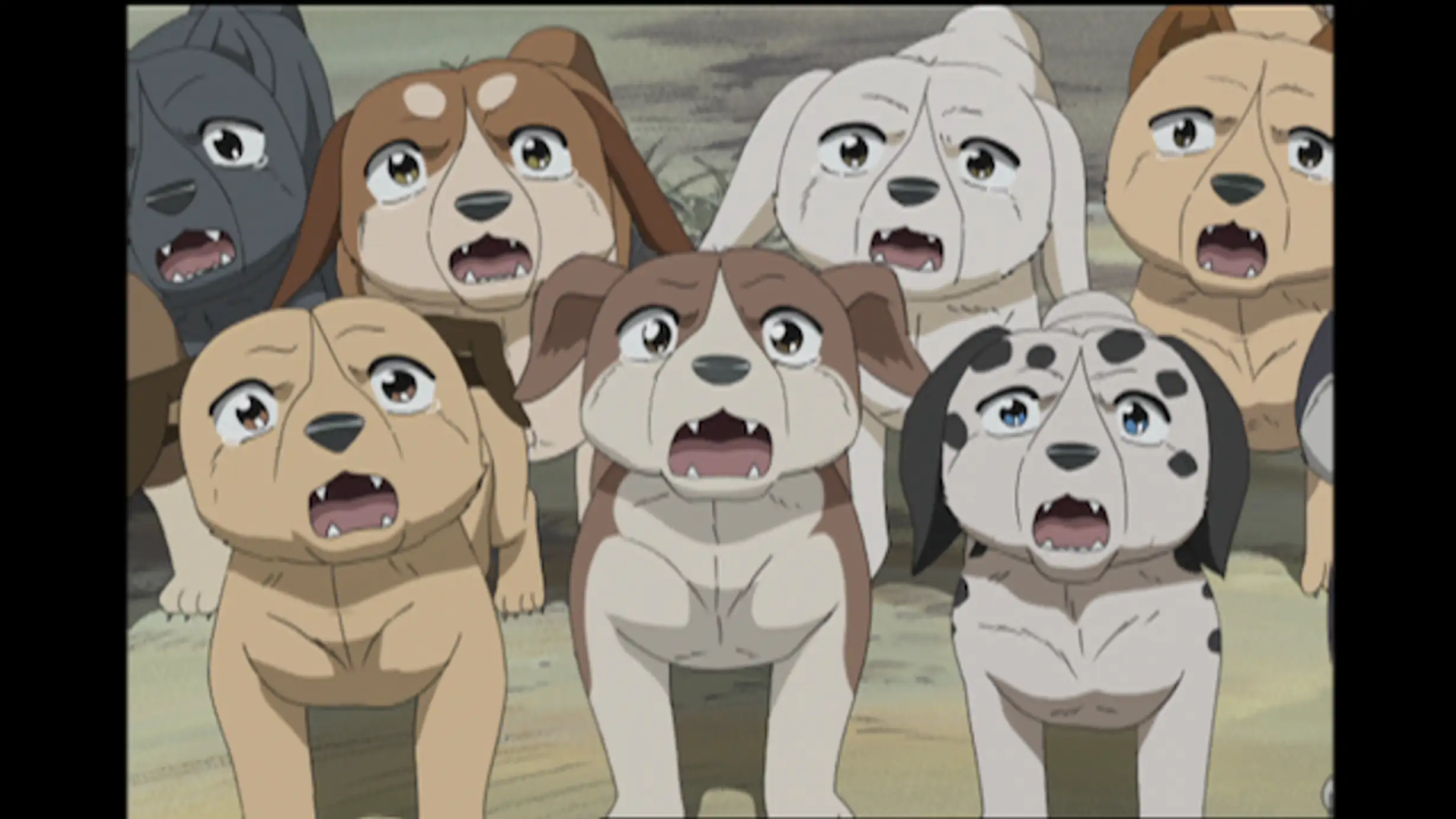 銀牙伝説weed ウィード 第16話 決別 アニメ 05年 の動画視聴 あらすじ U Next