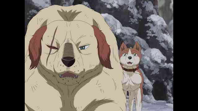 銀牙伝説weed のアニメ無料動画を全話 1話 最終回 配信しているサービスはどこ 動画作品を探すならaukana 銀牙伝説weed のアニメ無料動画を全話 1話 最終回 配信しているサービスはどこ 動画作品を探すならaukana