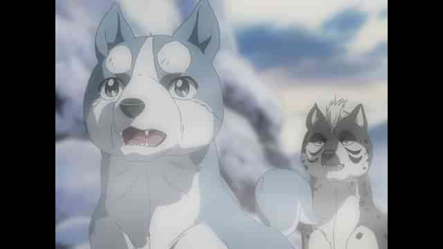 銀牙伝説weed のアニメ無料動画を全話 1話 最終回 配信しているサービスはどこ 動画作品を探すならaukana