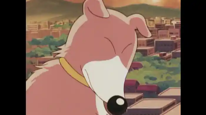 マロこそスター!