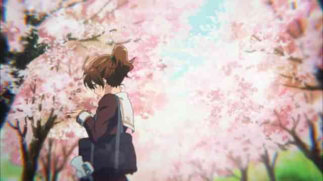 響け ユーフォニアム の映画もtvアニメも見れる動画配信情報 無料で見れる方法も紹介 Aukana アウカナ 動画配信サービス比較