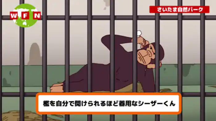 本番スタート!?