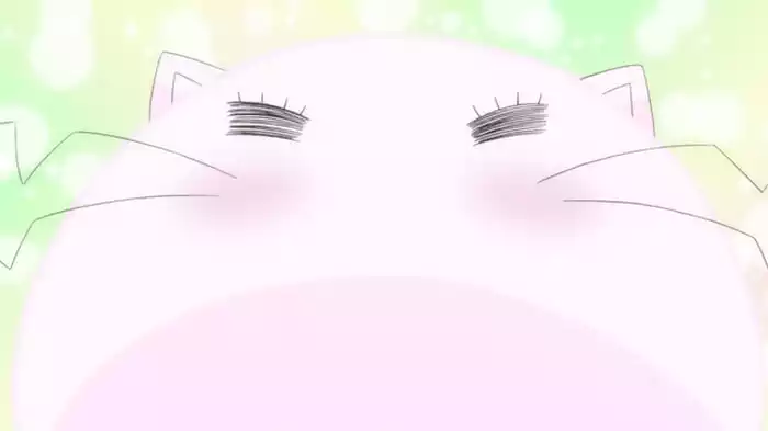 Ａ：ももねこさまの憂鬱、なので／Ｂ：失恋カメラ、なので