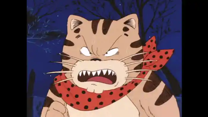 アントニオJr.登場！