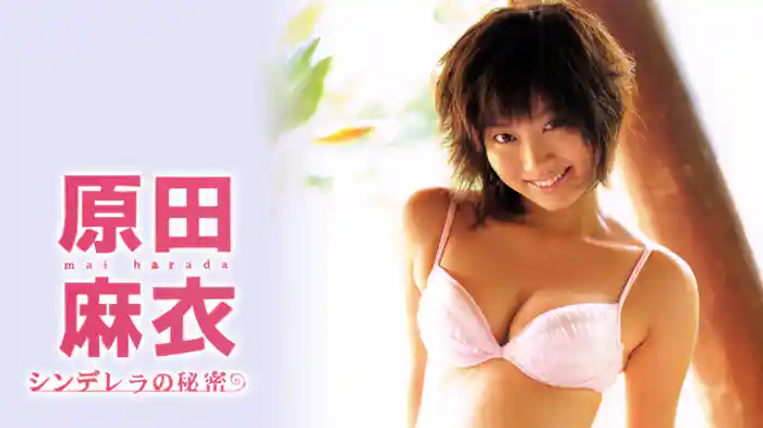 原田麻衣 『シンデレラの秘密』