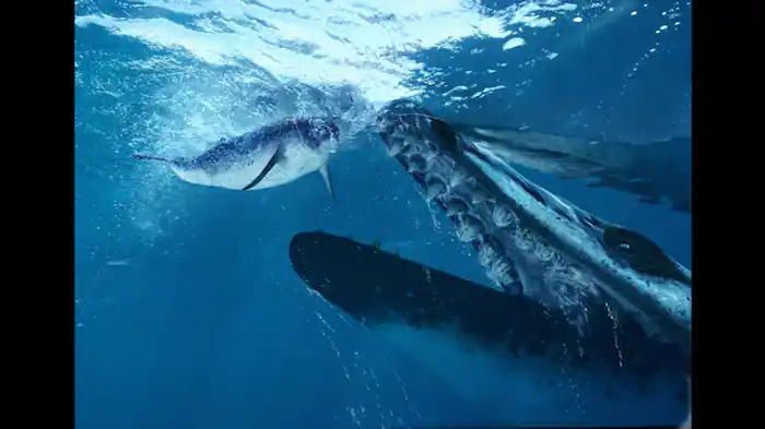 クジラの祖先バシロサウルス